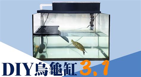 特殊魚缸|春日水族官網